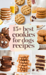 15-best-cookies-for-dogs-recipes-bbbbb-29244
