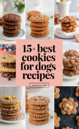 15-best-cookies-for-dogs-recipes-ccccc-47470