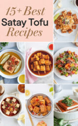 15-best-satay-tofu-recipes-bbbbb-13731