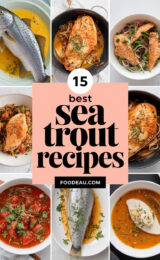 15-best-sea-trout-recipes-ccccc-95025