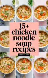 15-chicken-noodle-soup-recipes-ccccc-23654