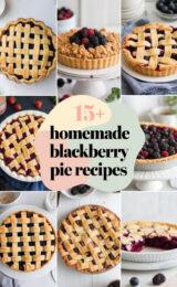 15-homemade-blackberry-pie-recipes-bbbbb-96691