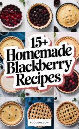 15-homemade-blackberry-pie-recipes-ccccc-44826