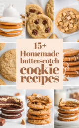15-homemade-butterscotch-cookie-recipes-bbbbb-52536