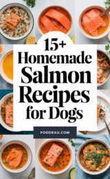 15+ Homemade Salmon Recipes Your Dog Will Love! 15-homemade-salmon-recipes-for-dogs-ccccc-27097