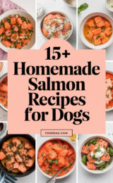 15-homemade-salmon-recipes-for-dogs-ccccc-70853