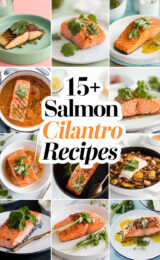 15-salmon-cilantro-recipes-bbbbb-49130