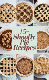15-shoofly-pie-recipes-bbbbb-49828