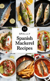 15-simple-spanish-mackerel-recipes-bbbbb-88606