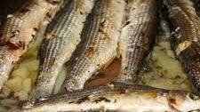 31 easy and tasty mullet recipes by home cooks