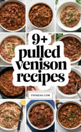 9-pulled-venison-recipes-ccccc-94376