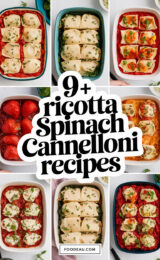 9-ricotta-spinach-cannelloni-recipes-ccccc-51269