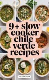 9-slow-cooker-chile-verde-recipes-ccccc-28322