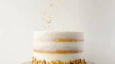 Almond Coconut Cake