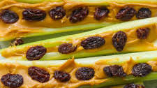 Ants on a Log