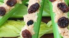 Ants on a Log