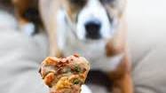 Apple, Bacon, and Cheddar Dog Treats