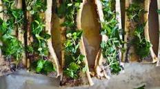 Bone Marrow Toast