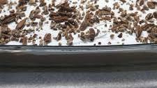 Chocolate Pecan Delite