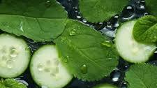 Cucumber and Mint Summer Salsa Recipe