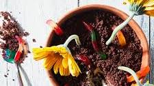 Fancy Dirt Cake