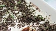 Heavenly Mint Oreo Dessert
