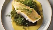 Herb-Crusted Turbot Fillet