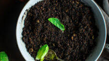 Homemade BBQ Coffee Dry Rub Seasoning