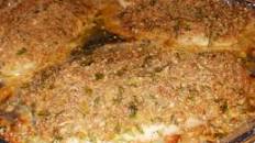 Honey-Mustard Tilapia