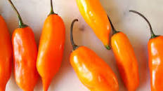 Huancaina Sauce