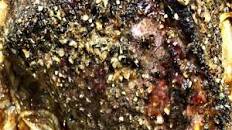 Italian Roast Beef