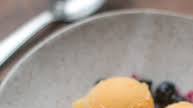 Mango Frozen Yogurt