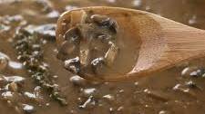 Mushroom Herb Gravy