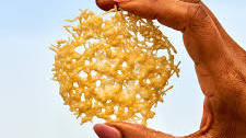 Parmesan Crisps