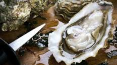 Rich and Creamy Oyster Pie Recipe