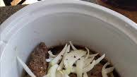 Slow Cooker Beef Neck Bones and Gravy