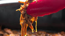 Slow Cooker Honey Garlic Beef