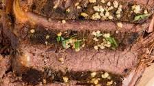 Slow Cooker Roast Beef