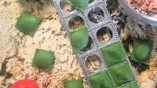 Spinach Ravioli with Sun Dried Tomato Ricotta Filling