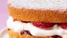 Sponge Cake
