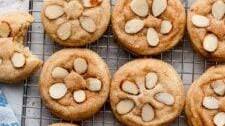 Summer Cookies Recipes
