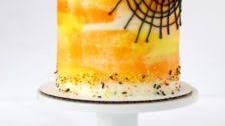 Vanilla Bean Funfetti Cake