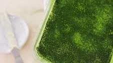 Vegan Matcha Chia Seed Pudding
