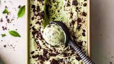 Vegan Mint Chocolate Chip Ice Cream