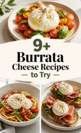 burrata-cheese-ccccc-11344