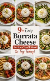 9+ Easy Burrata Cheese Recipes You’ll Want to Try Today! burrata-cheese-ccccc-42827
