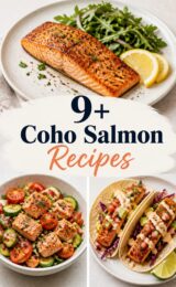 coho-salmon-ccccc-76148