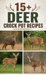 15+ Homemade Deer Crock Pot Recipes You'll Love to Try! deer-ccccc-84763