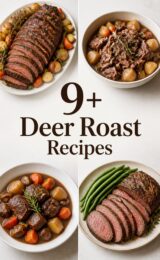 9+ Simple Deer Roast Recipes for Delicious Family Dinners deer-roast-ccccc-71857