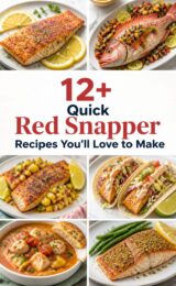 red-snapper-ccccc-51727